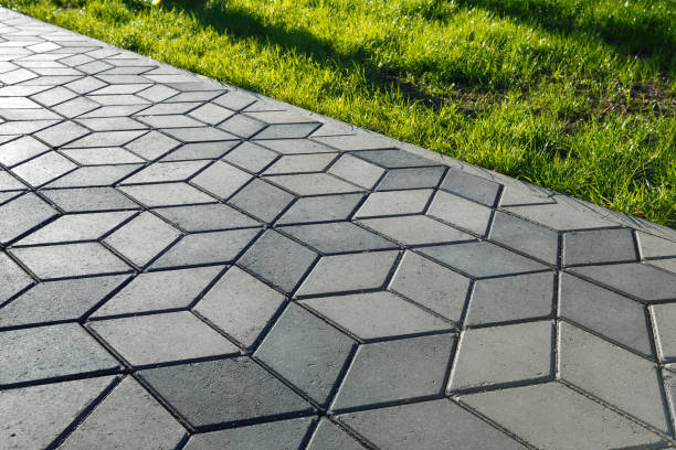 Best Driveway Paver Repairs and Restoration in Black Forest, CO